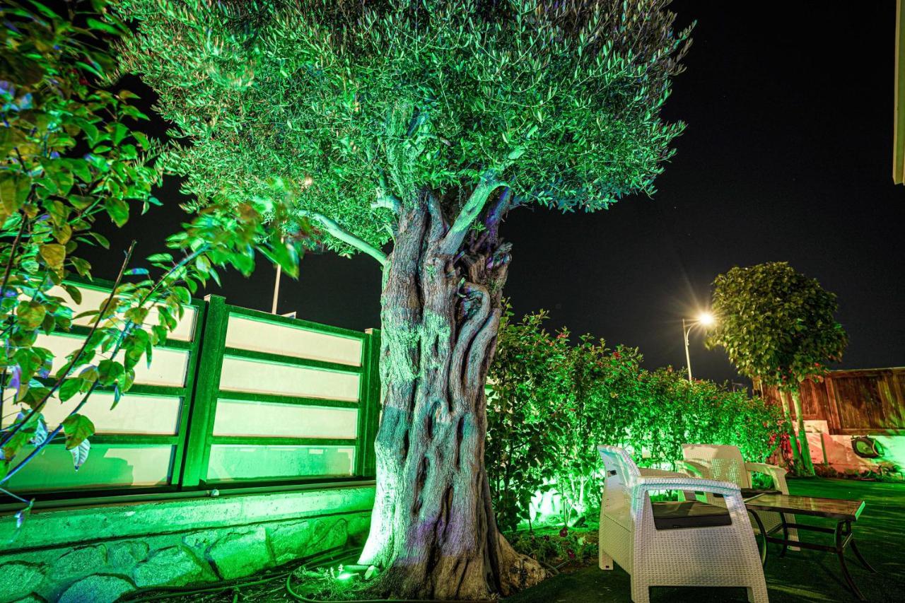Villa Pomela By Sun And View Eilat Extérieur photo